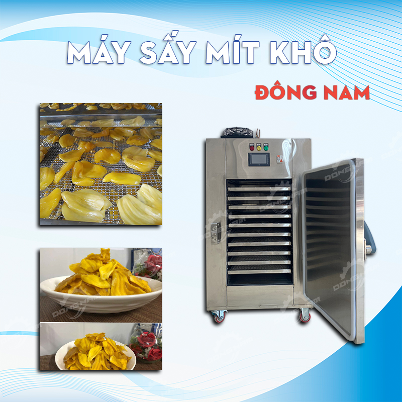 Máy sấy mít