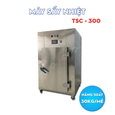 Tủ sấy công nghiệp 12 khay