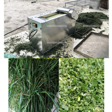 Ưu điểm khi sử dụng máy băm cỏ voi