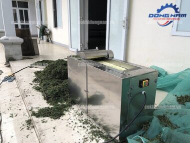 Máy băm cây thuốc nam Ry-600