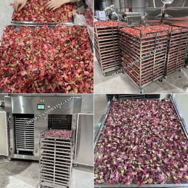Máy sấy lạnh công nghiệp 200kg