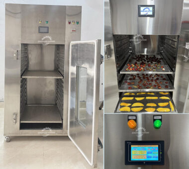 Máy sấy lạnh hoa quả Đông Nam