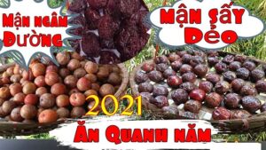 Cách làm mận sấy dẻo, mứt mận sấy khô ngon chuẩn vị