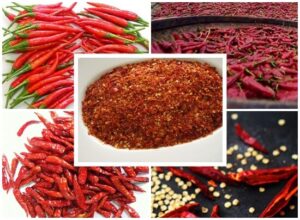 Cách làm ớt khô, ớt bột màu đẹp