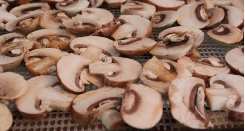 Rải đều nấm lên khay sấy