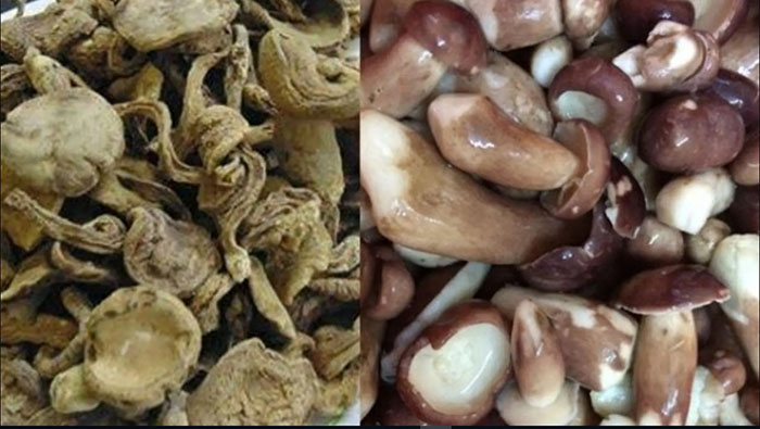 Cách làm nấm sấy khô