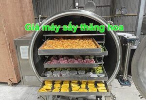 Sấy thăng hoa là gì