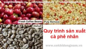 Quy trình sản xuất cà phê nhân