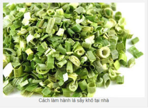 Hành lá sấy khô bằng máy sấy lạnh