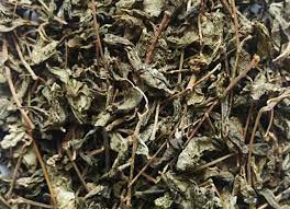 Chè dây sấy khô