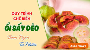 Quy trình sản xuất ổi sấy dẻo