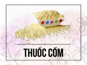 Quy trình sản xuất thuốc cốm