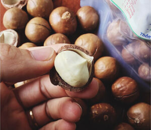 Cách sấy hạt macca