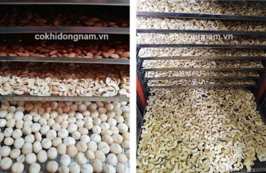 Máy sấy chín hạt công nghiệp