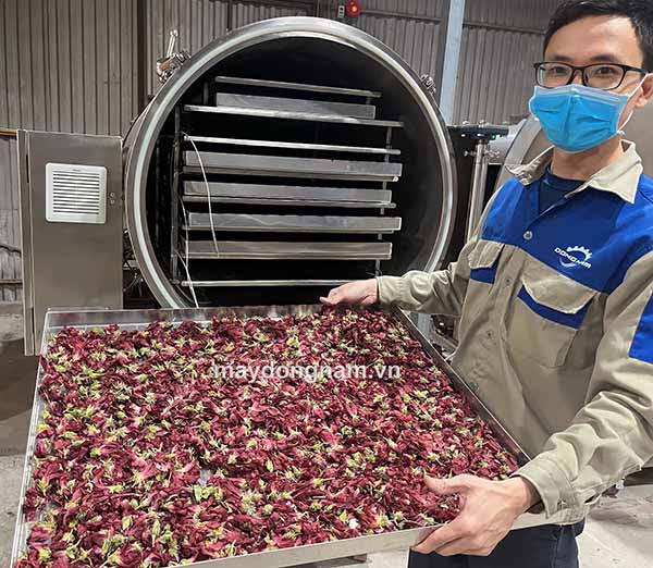 Thành phẩm máy sấy thăng hoa Đông Nam