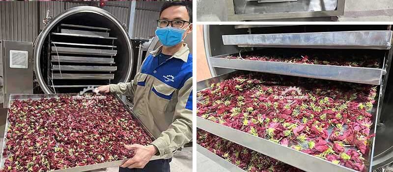 Thành phẩm máy sấy thăng hoa Đông Nam