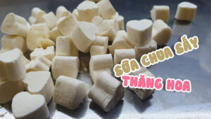 Sữa chua sấy thăng hoa