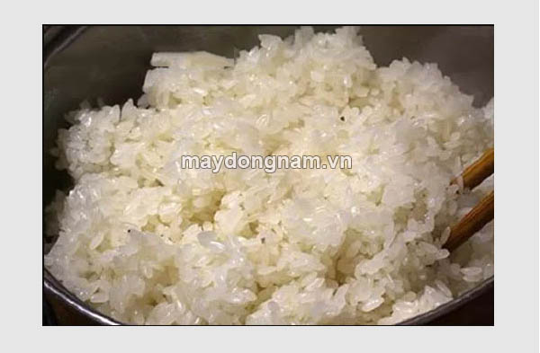 Nấu chín cơm nếp