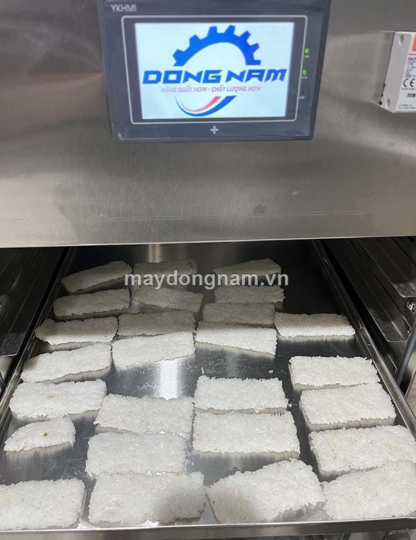 Xếp cơm lên khay sấy