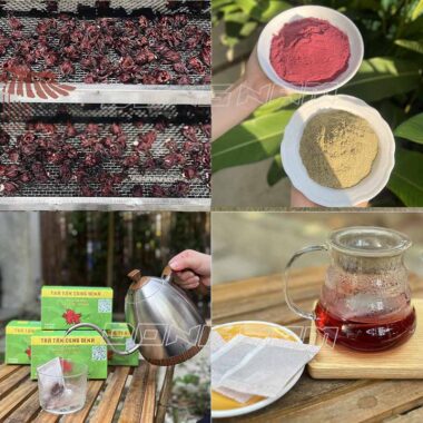 Khách hàng làm trà túi lọc atiso, cỏ ngọt bằng máy sấy lạnh, máy nghiền bột, máy đóng gói Đông Nam