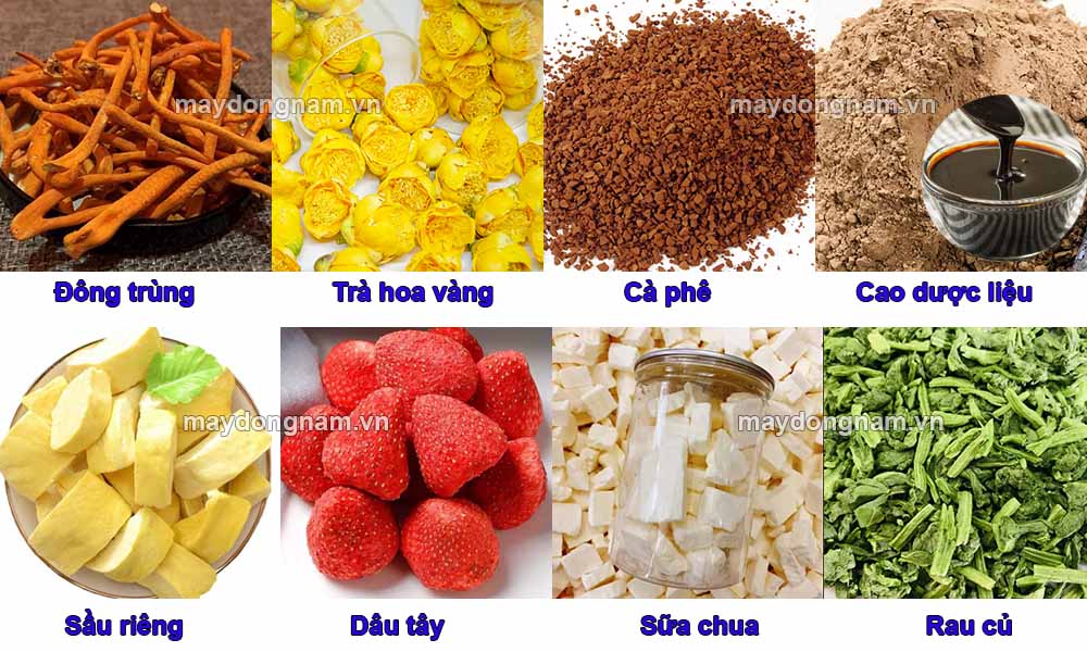 Các sản phẩm sấy thăng hoa tiêu biểu