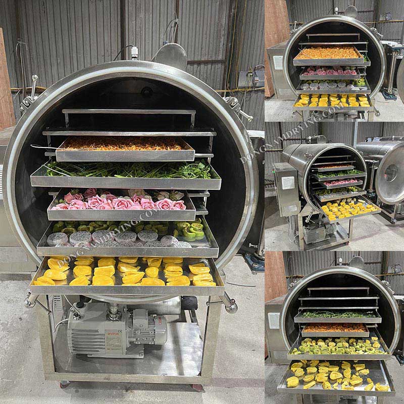 Máy sấy thăng hoa công nghiệp