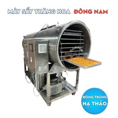 Máy sấy thăng hoa đông trùng hạ thảo