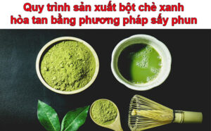 Quy trình sản xuất bột trà xanh hòa tan