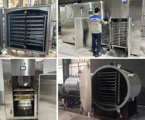Hệ thống sấy khô thực phẩm Đông Nam