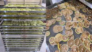 Cách làm chanh sấy khô giá trị cao
