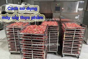 Hướng dẫn cách sử dụng máy sấy thực phẩm