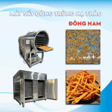 Máy sấy đông trùng hạ thảo