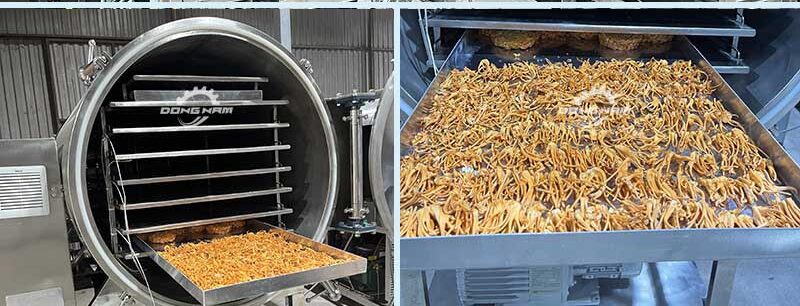 Sấy thăng hoa đông trùng hạ thảo