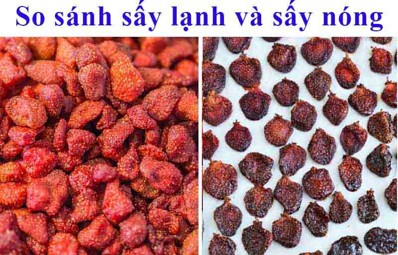 So sánh sấy lạnh và sấy nóng